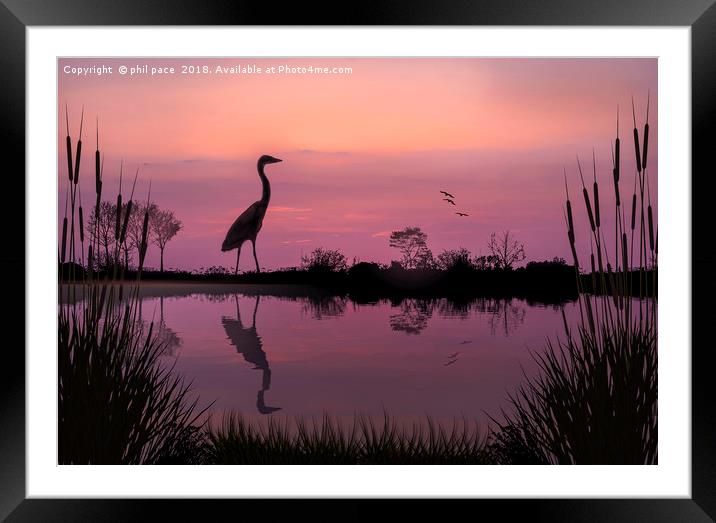 The Master Fisherman Framed Mounted Print by phil pace