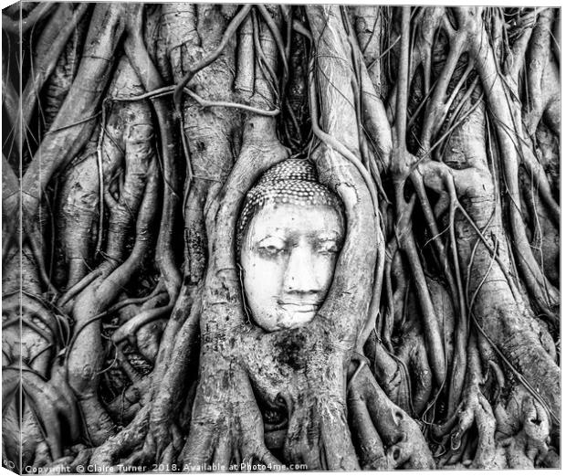 Ayutthaya Buddha head in tree Canvas Print by Claire Turner