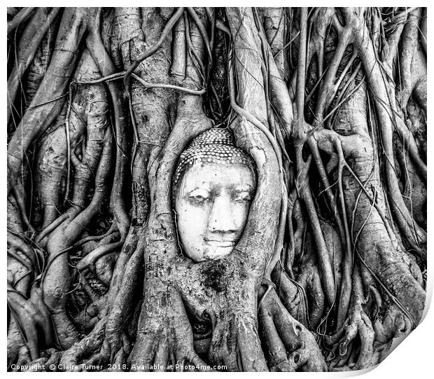 Ayutthaya Buddha head in tree Print by Claire Turner