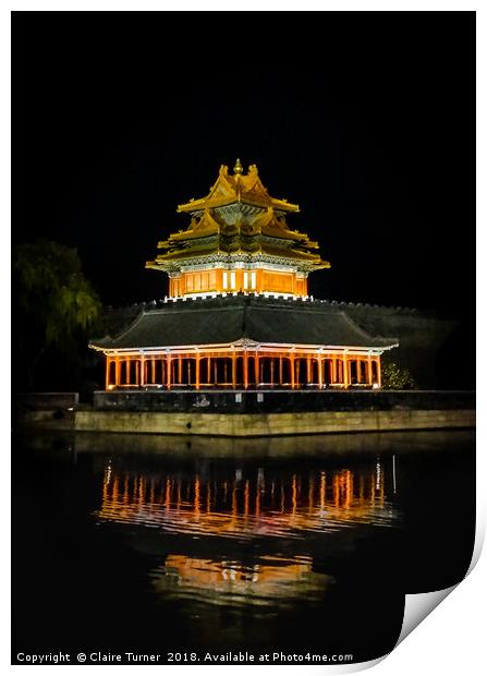 Forbidden city moat Print by Claire Turner
