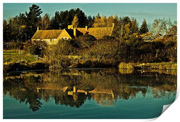 Springwatch Reflections Print by Roy Scrivener
