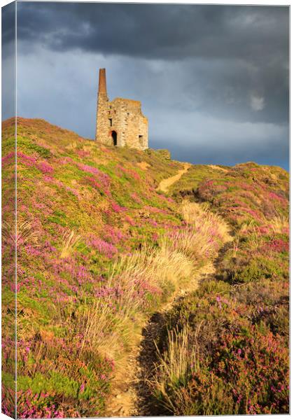 Path to the Engine House Canvas Print by Andrew Ray