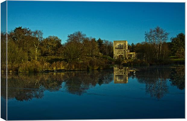 Pensthorpe reflections Canvas Print by Roy Scrivener