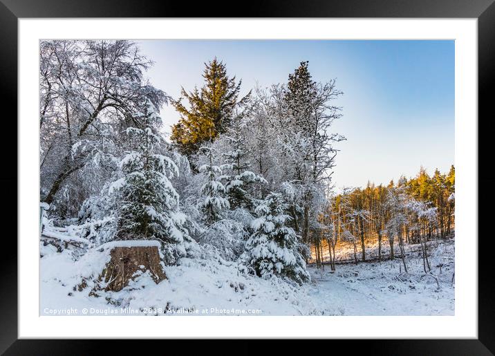 Beecraigs in the Snow Framed Mounted Print by Douglas Milne