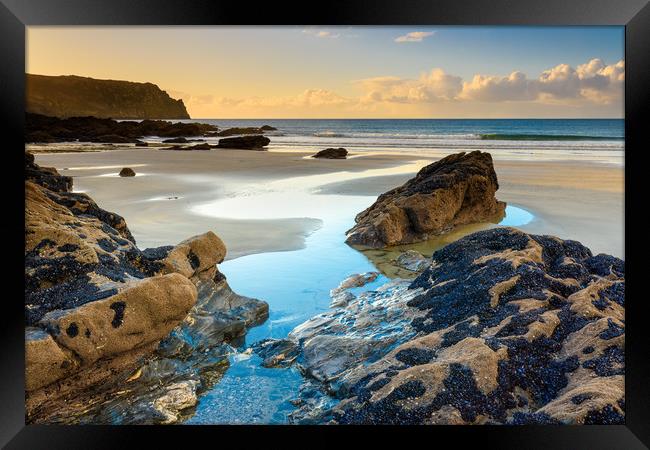 Carne beach and Nare Head Framed Print by Michael Brookes