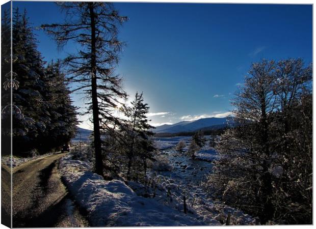     Winters day in glen Muick                      Canvas Print by alan todd