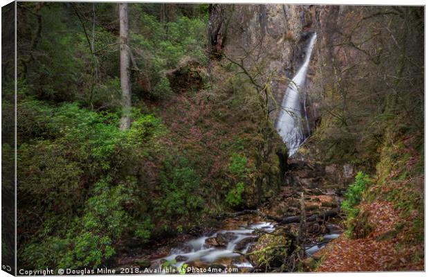 The Grey Mare's Tail Waterfall, Kinlochleven Canvas Print by Douglas Milne