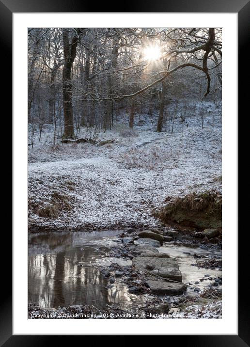 Stepping Stones Framed Mounted Print by David Tinsley