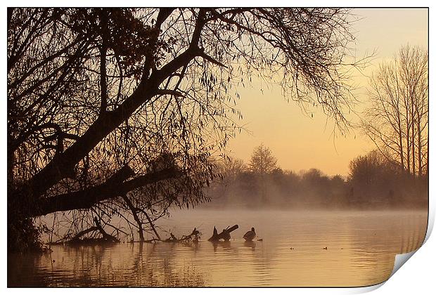The Thames at dawn Print by Graham Piper