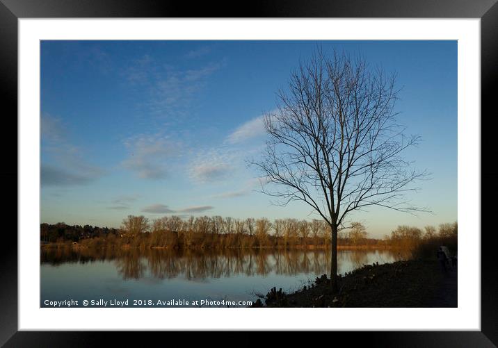 Whitlingham Sunset Trees Framed Mounted Print by Sally Lloyd