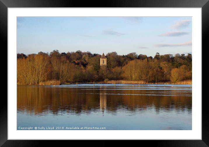 Tower Reflection Whitlingham Broad Framed Mounted Print by Sally Lloyd