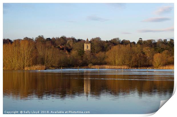 Tower Reflection Whitlingham Broad Print by Sally Lloyd