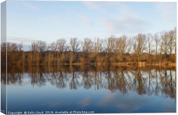 Whitlingham Broad Tree Reflections Canvas Print by Sally Lloyd