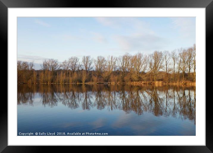 Whitlingham Broad Tree Reflections Framed Mounted Print by Sally Lloyd