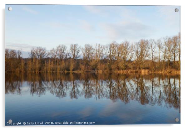 Whitlingham Broad Tree Reflections Acrylic by Sally Lloyd