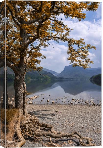 Lake Buttermere Canvas Print by Tony Bates