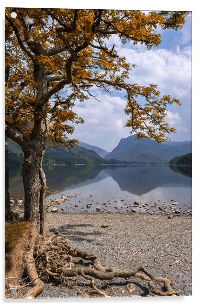 Lake Buttermere Acrylic by Tony Bates