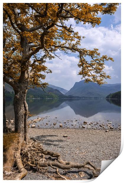 Lake Buttermere Print by Tony Bates
