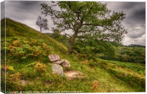 Oak Tree and Bench Canvas Print by Douglas Milne