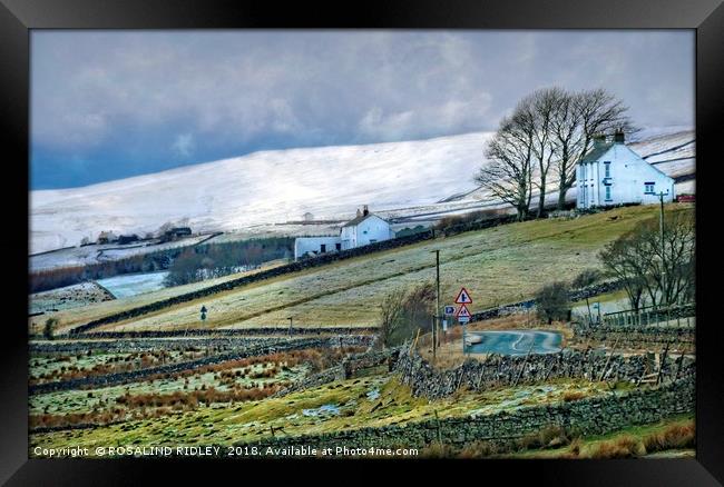 "A drive through Teesdale" Framed Print by ROS RIDLEY