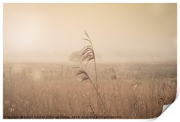 Misty Morning Marshes Print by Kelvin Futcher 2D Photography