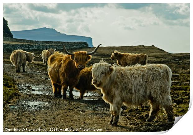 A herd of Highland Cattle Print by Richard Smith