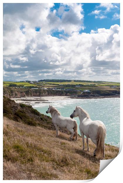 Welsh Ponies Church Bay Print by North Wales Photography