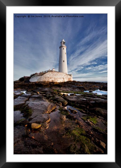 St Mary's Island and Lighthouse (Portrait view) Framed Mounted Print by Jim Jones