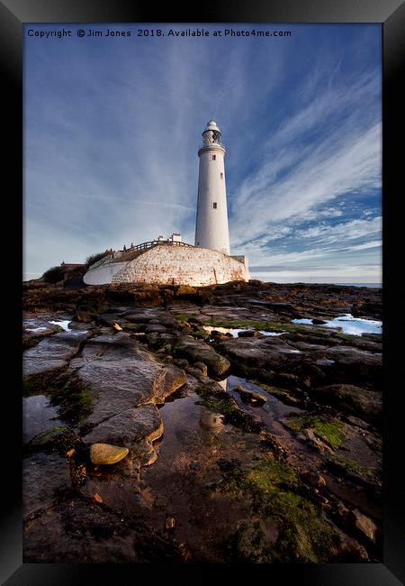 St Mary's Island and Lighthouse (Portrait view) Framed Print by Jim Jones