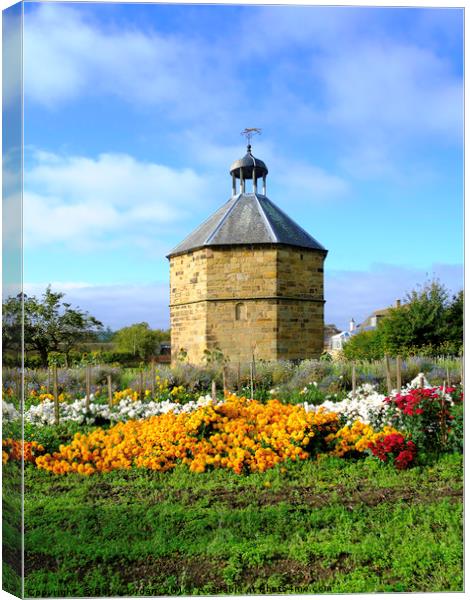 The old dovecot at the 14th century  Augustinian p Canvas Print by Peter Jordan
