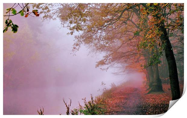 Shades of autumn Print by Chris Manfield