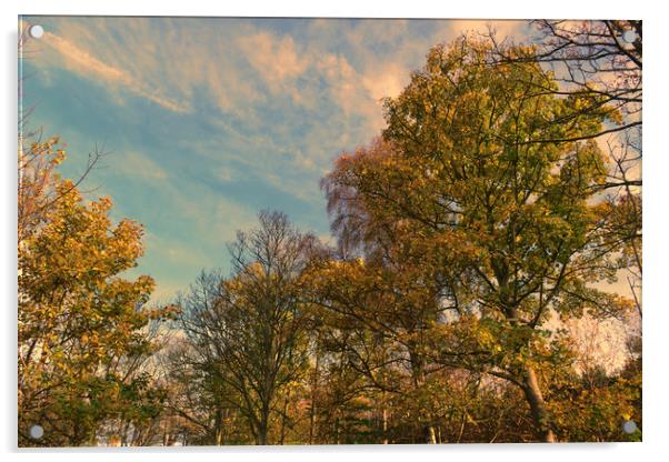 Autumn Leaves Acrylic by Ann McGrath