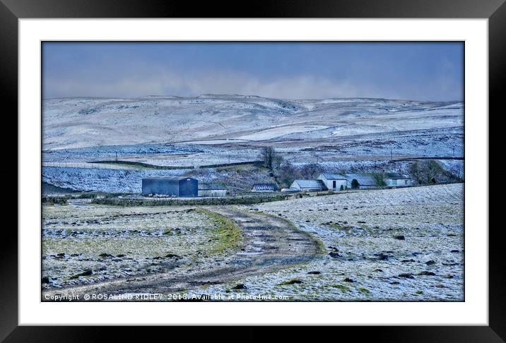 "Teesdale Winter" Framed Mounted Print by ROS RIDLEY
