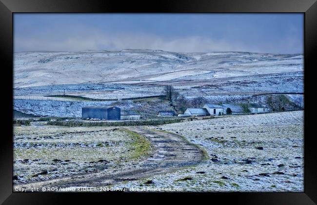 "Teesdale Winter" Framed Print by ROS RIDLEY