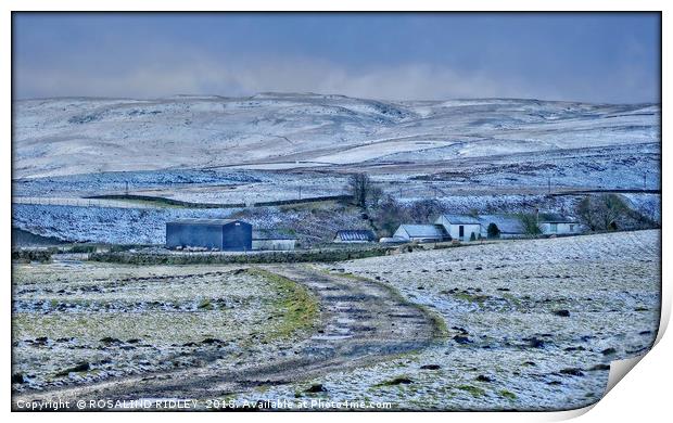 "Teesdale Winter" Print by ROS RIDLEY