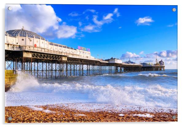 Brighton Palace Pier Acrylic by Chris Harris