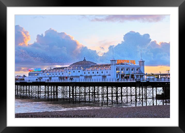 Brighton Palace Pier at twilight Framed Mounted Print by Chris Harris