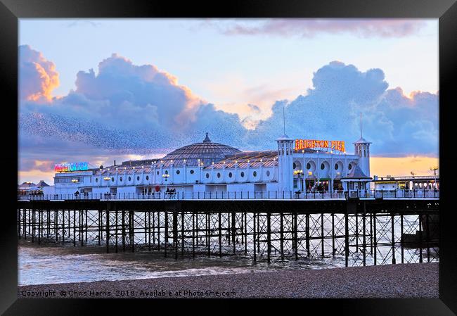 Brighton Palace Pier at twilight Framed Print by Chris Harris