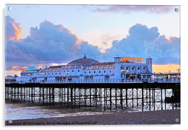 Brighton Palace Pier at twilight Acrylic by Chris Harris