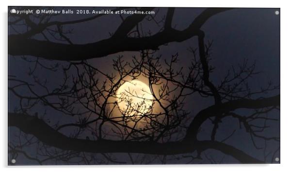                  Super moon Rising In A Tree      Acrylic by Matthew Balls