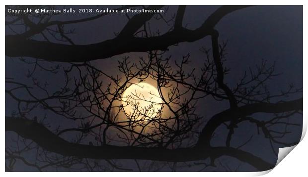                   Super moon Rising In A Tree      Print by Matthew Balls