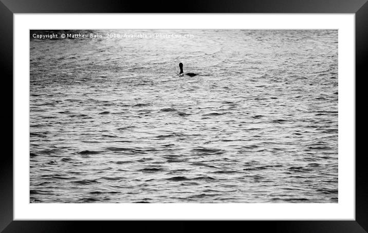        A Lone Diver On the Water                   Framed Mounted Print by Matthew Balls