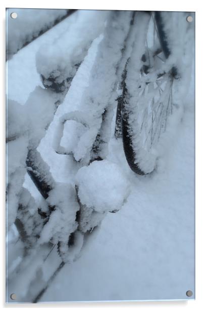 Snow Bike Acrylic by Karen Martin