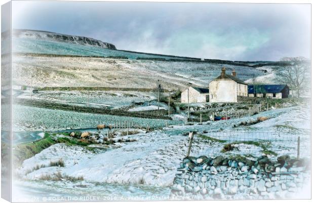 "Farmhouse in Teesdale" Canvas Print by ROS RIDLEY