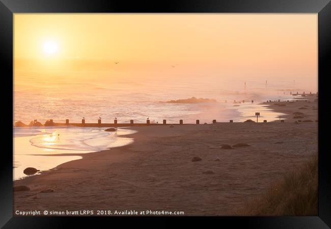 Norfolk coast sunrise with many seals Framed Print by Simon Bratt LRPS