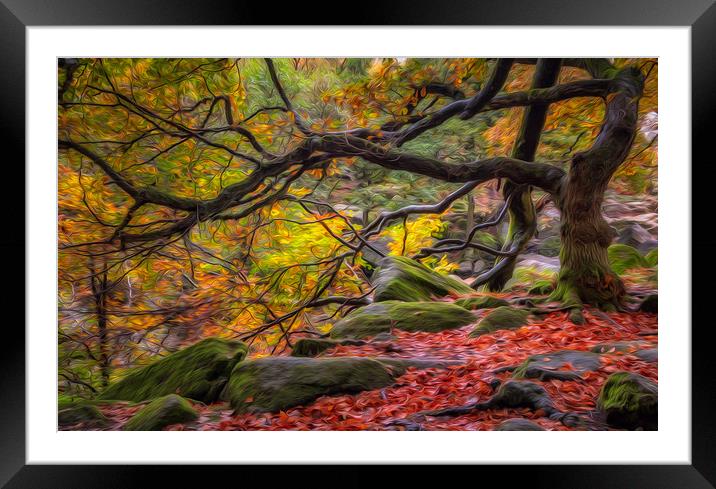Autumn in Padley Gorge Framed Mounted Print by Paul Andrews