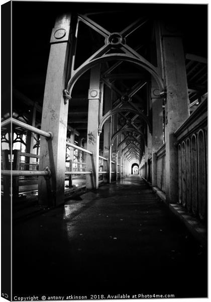Newcastle in Black and White Canvas Print by Antony Atkinson