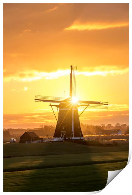 Sunrise windmill Print by Ankor Light
