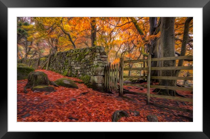 Autumn Gold in Padley Gorge Framed Mounted Print by Paul Andrews