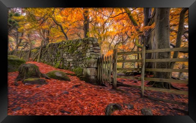 Autumn Gold in Padley Gorge Framed Print by Paul Andrews
